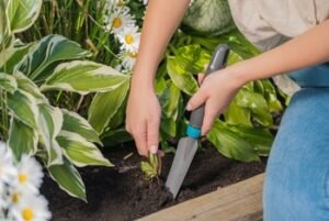信誠五金園藝工具應用
